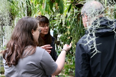 Erica Forstater, employee at the Rinard Orchid Greenhouse, discusses different species of orchids with visitors Donna and John Baggio April 9. The greenhouse offered self-guided tours, puzzles and animal-themed games for their event.